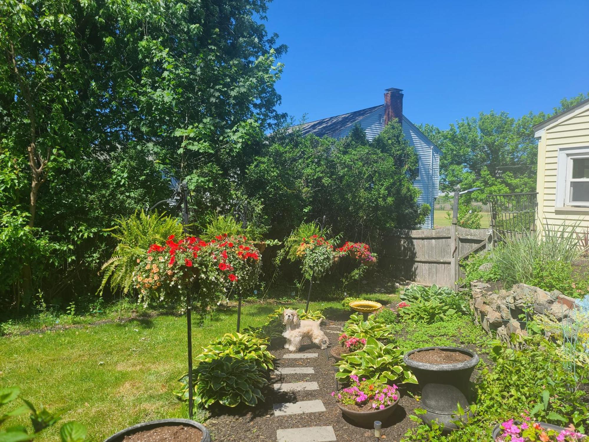 Apartamento Park View South Of Boston - Quincy Exterior foto